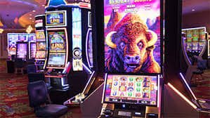 79bet app